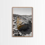 Yellow Lichen Rock, Monochrome Landscape, Desert Texture, Canvas Print, Rustic Wall Art, Minimalist Decor, Entryway or Office Art