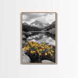 Yellow Wildflowers Lake, Alpine Meadow, Monochrome Landscape, Canvas Print, Kitchen Wall Art, Spring Nature Photography Decor