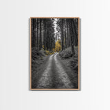 Forest Path, Yellow Trees, Autumn Trail, Framed Canvas Print, Fall Wall Art, Woodland Nature Decor, Cozy Home Accent, Entryway Artwork