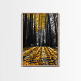 Golden Forest Light, Fall Leaves, Tall Trees Shadows, Tranquil Scene, Framed Canvas Print, Autumn Wall Art, Boho Living Room Decor