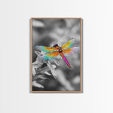 Rainbow Dragonfly, Vibrant Bug, Botanical Contrast, Framed Canvas Print, Nature Inspired Art, Bedroom Wall Decor, Whimsical Garden Accent