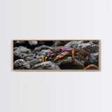 Rainbow Crab, Coastal Creature, Ocean Life, Vibrant Nature, Framed Canvas Print, Bathroom Wall Art, Coastal Home Decor