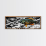 Colorful Fish Closeup, Underwater Art, Nature Photography, Canvas Print, Coastal Bathroom Decor, Vibrant Marine Life Wall Art