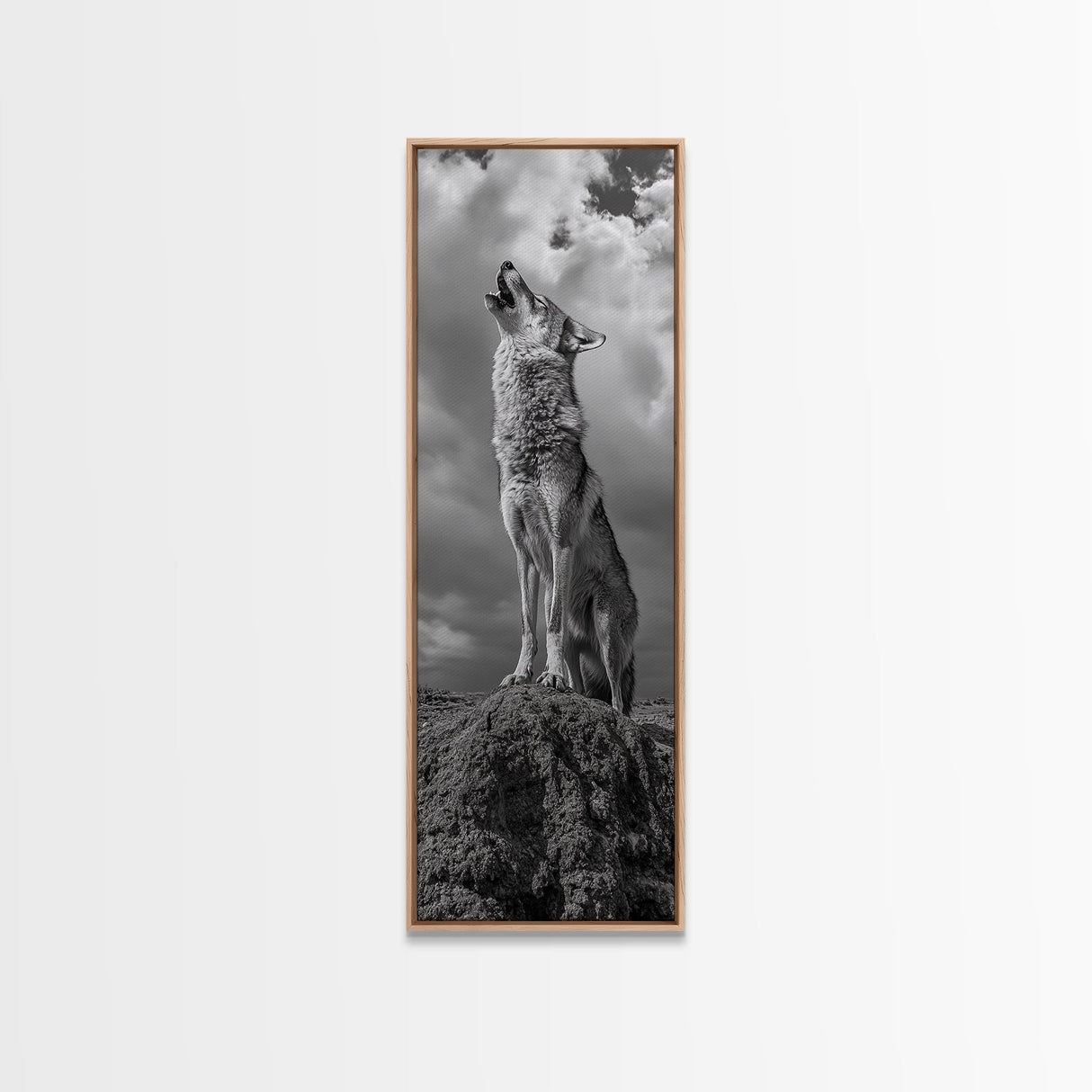 Howling Coyote, Framed Canvas Print, southwest wall art, rustic wall art, wildlife photography, desert landscape art, cowboy art, boho home decor