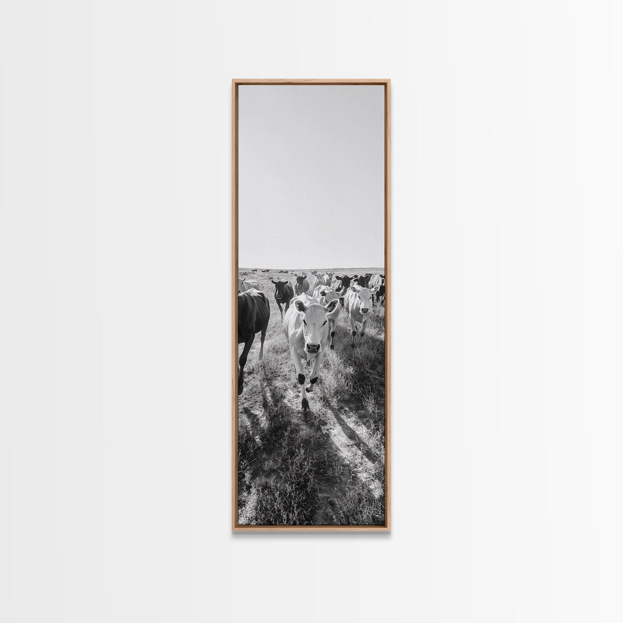 Running Cattle, Framed Canvas Print, rustic western wall art, cowboy décor, farmhouse art, above sofa art, panoramic painting, country home decor