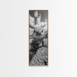 Lizard Close-Up, Framed Canvas Print, wildlife photography, rustic wall art, southwest wall art, desert animal art, black and white home decor