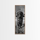 Majestic Bison Close-Up, Framed Canvas Print, rustic wall art, cowboy home décor, wildlife photography, farmhouse art, black and white photography