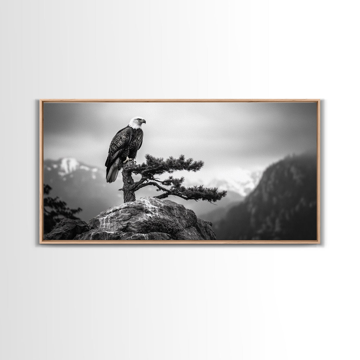 Majestic Bald Eagle, pine tree art, bird art, nature photography, mountain painting, wildlife art, extra wide art, framed canvas print