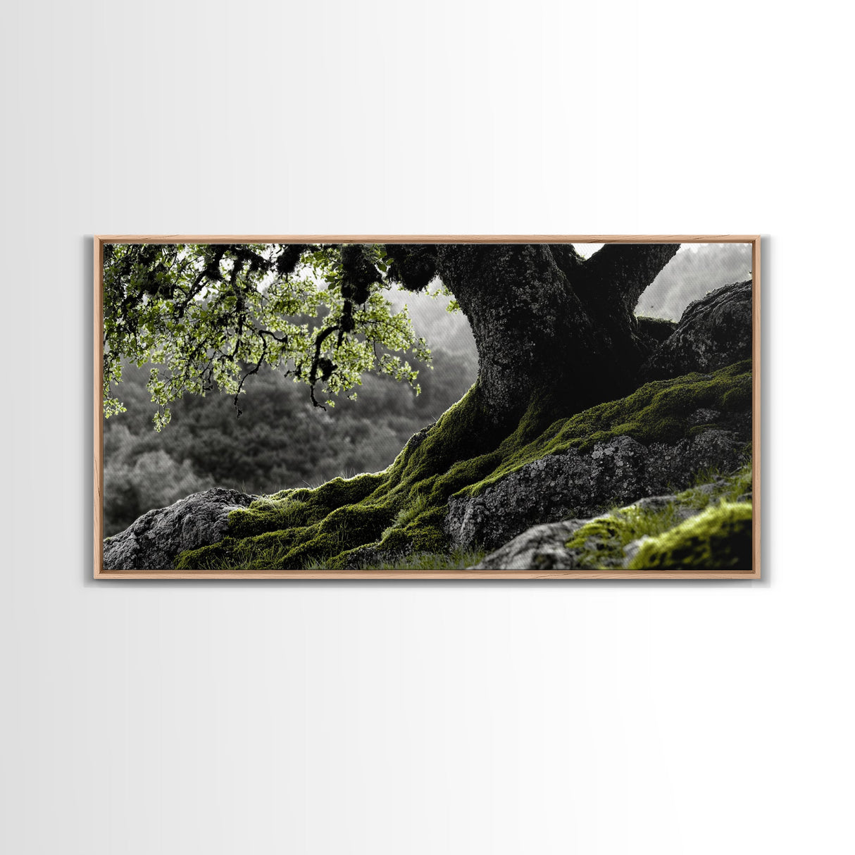 Mossy Oak Tree, oak tree art, nature wall art, rustic art, botanical prints, green wall art, extra wide art, Framed Canvas Print