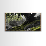 Mossy Oak Tree, oak tree art, nature wall art, rustic art, botanical prints, green wall art, extra wide art, Framed Canvas Print