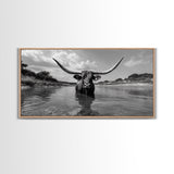 Longhorn in Water, rustic art, western decor, bull and bear art, cowboy wall art, farmhouse art, panoramic art, Framed Canvas Print