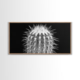 Cactus Spines, southwest wall art, desert art, botanical prints, geometric wall art, nature photography, sharp contrast, Framed Canvas Print