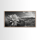 Cactus Bloom, botanical prints, wildflower painting, nature art, scenic mountain landscape, rustic wall art, southwest decor, Framed Canvas Print