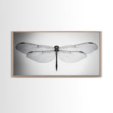 Dragonfly, line art, minimalist art, black and white art, nature painting, botanical prints, extra wide art, framed canvas print