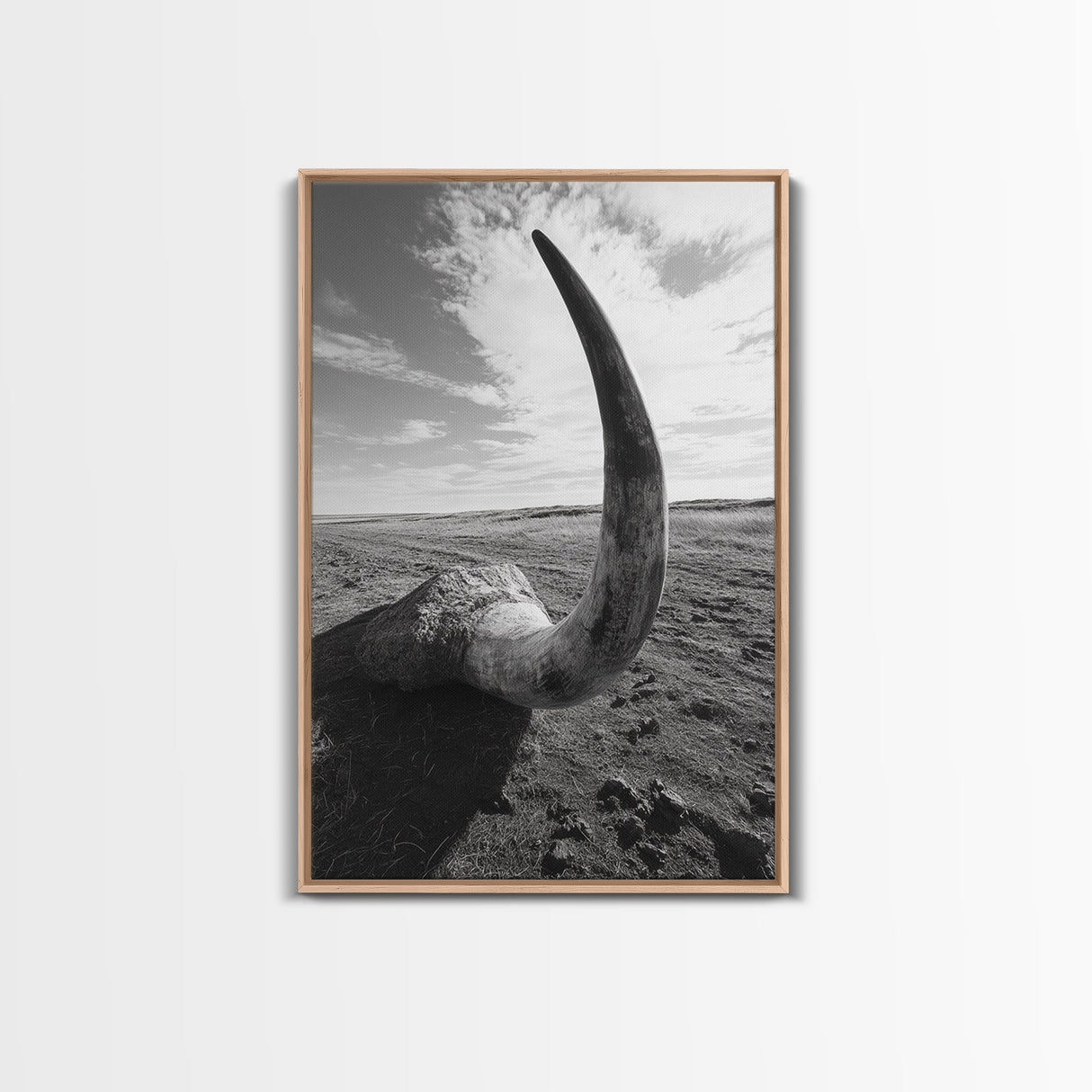Lone Horn, desert minimalism, rustic western art, wabi sabi decor, moody photography, framed canvas print, black and white, southwest art