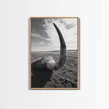 Lone Horn, desert minimalism, rustic western art, wabi sabi decor, moody photography, framed canvas print, black and white, southwest art
