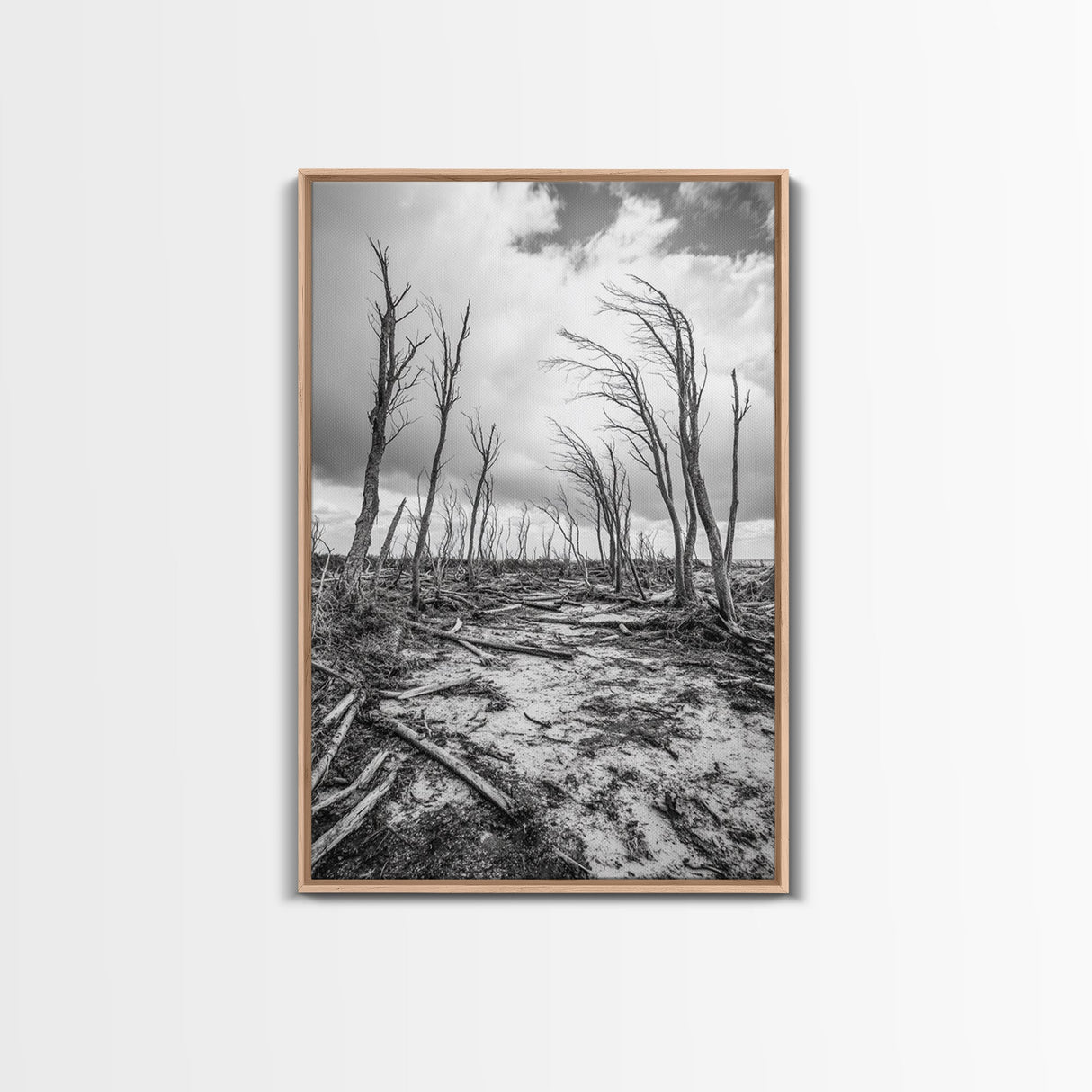 Windblown Trees, stormy sky, moody landscape, wabi sabi art, black and white, framed canvas print, rustic decor, nature photography