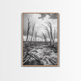 Windblown Trees, stormy sky, moody landscape, wabi sabi art, black and white, framed canvas print, rustic decor, nature photography