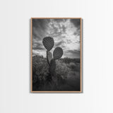 Prickly Pear, cactus art, Joshua tree art, wabi sabi art, moody art, black and white, framed canvas print, minimalist decor, rustic wall art
