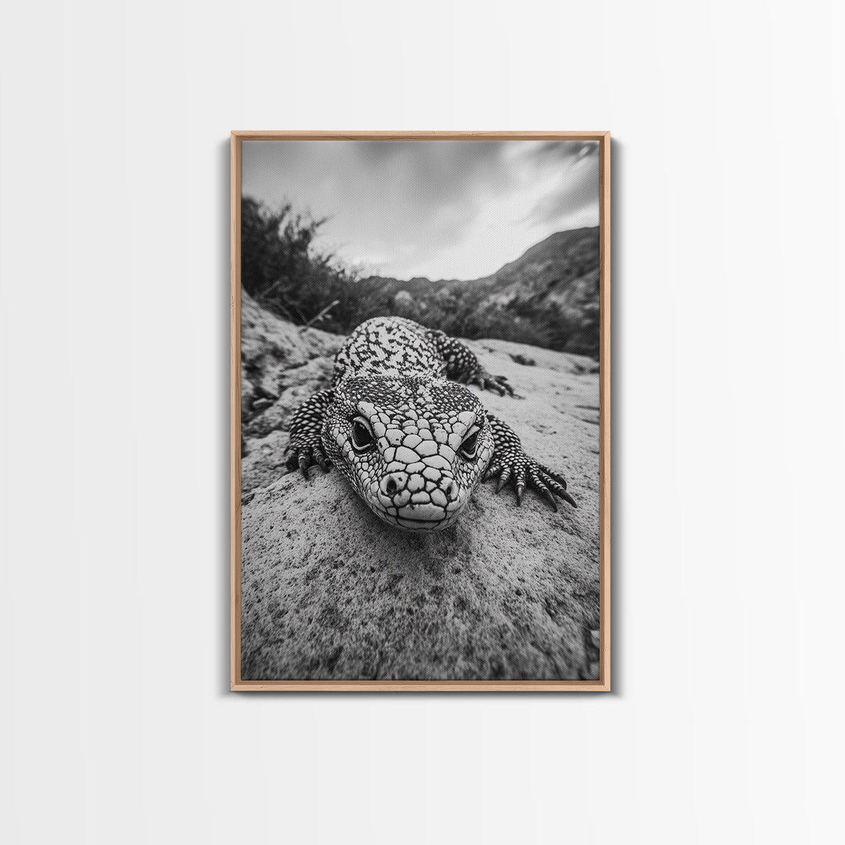 Lizard art, wildlife photography, moody art, desert decor, black and white photography, wabi sabi wall art, framed canvas print, unique gift