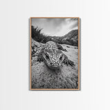Lizard art, wildlife photography, moody art, desert decor, black and white photography, wabi sabi wall art, framed canvas print, unique gift