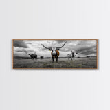 Texas Longhorns, Bull and Bear Art, Rustic Wall Art, Moody Art, Extra Wide Art, Framed Canvas Print, Horizontal Wall Art, Gift Idea