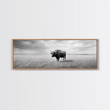 Lone buffalo, western landscape, rustic wall art, panoramic art, extra wide art, farmhouse decor, framed canvas print, wildlife painting, bull and bear art