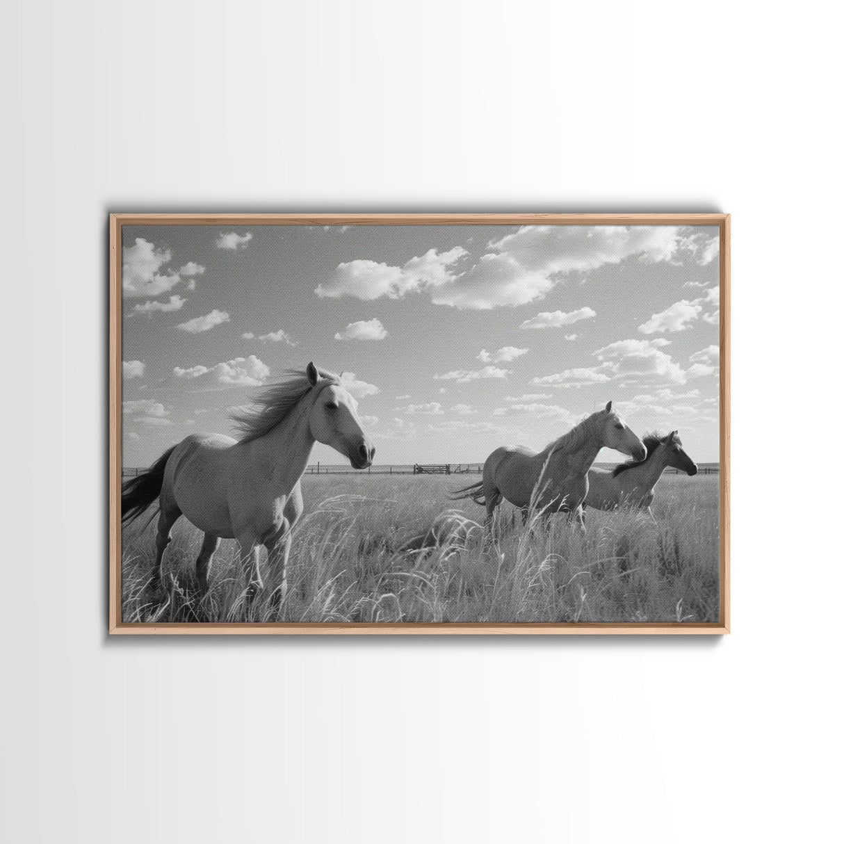 Fine Art Framed Canvas Print, Metal Art, Black & White Photo of Wild Mustangs, Horse Art, American Horses Landscape / Nature / Wildlife Art