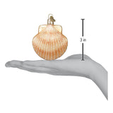 Scallop Shell Ornament