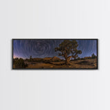 Time Lapse Photography Style Print, Panoramic Wall Art, Starry Night Sky Photo Print, Joshua Tree