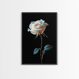 Still Life Photograph of a White Rose, Framed Canvas Print, Rose Painting, Rose Decor, Rose Wall Art, Mother's Day Gift Idea, Flower Wall Art