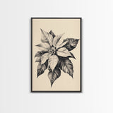 Poinsetta Canvas Print - Framed Canvas - Minimalist Christmas Art - Boho Christmas Art - Rustic Christmas Art