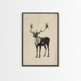Reindeer Canvas Print - Framed Canvas - Minimalist Christmas Art - Boho Christmas Art - Rustic Christmas Art