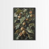 Fig Painting Print - Framed Canvas - Fig Oil Painting, Fig Painting, Kitchen Decor, Rustic Farmhouse, Minimalist Home Decor