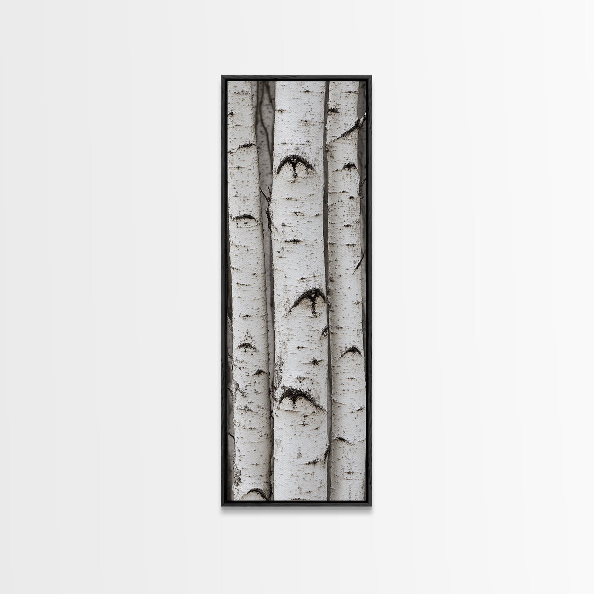 Classic Birch Trees Black and White Wall Art Framed Canvas Print Rustic Farmhouse Art Tall Narrow Art Guest Room Decor