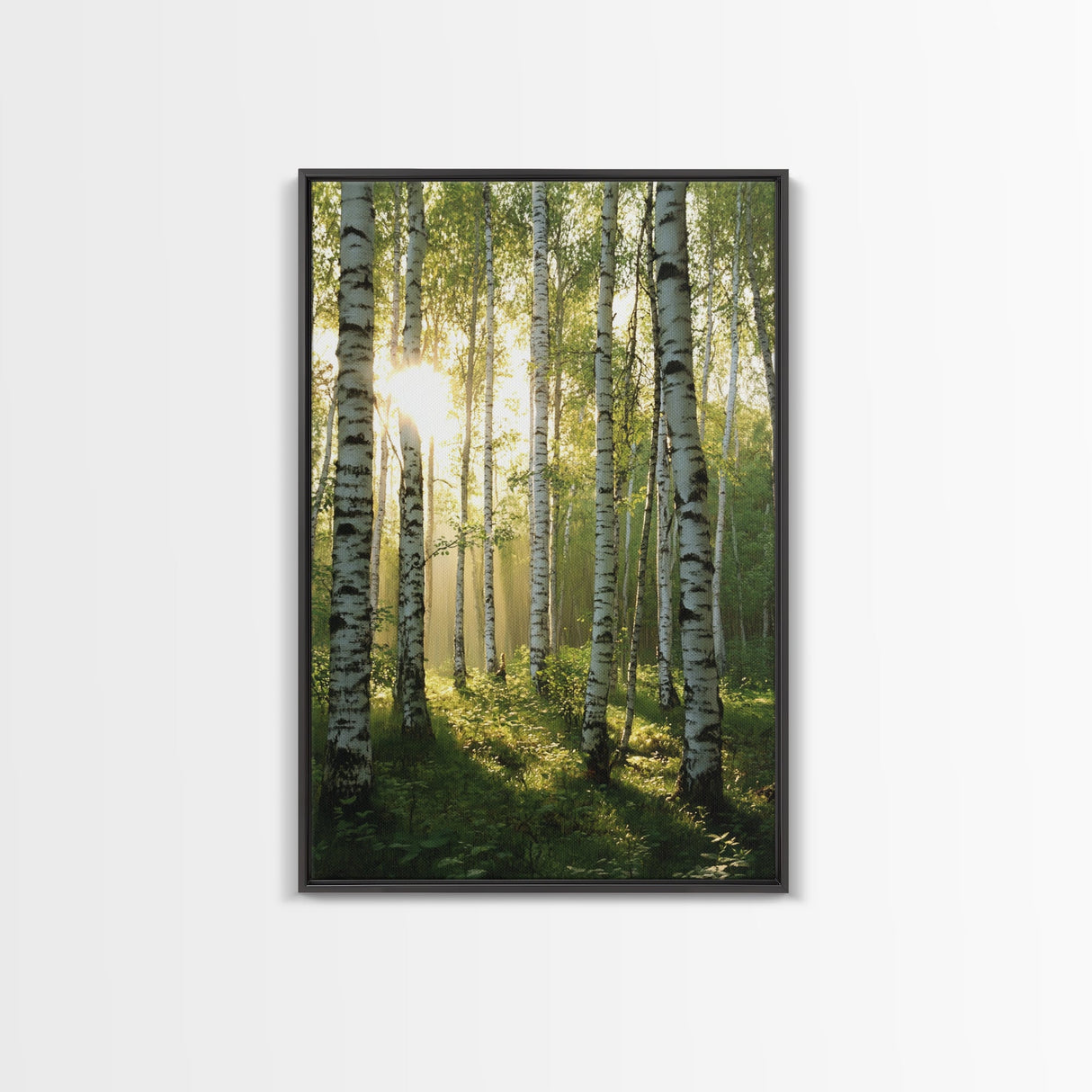 Morning Sunlight Birch Tree Art Canvas Print Natural Landscape Gift Rustic Farmhouse Vertical Artwork Home Decor Above Bed