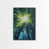 Looking Up, birch tree painting, nature wall art, green wall art, botanical prints, rustic wall art, framed canvas print, zen art