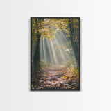 Sunlit Autumn Forest Path Canvas Print, Fall Wall Art, Nature Photography Print, Cozy Home Decor, Rustic Living Room Art, Cabin Wall Art