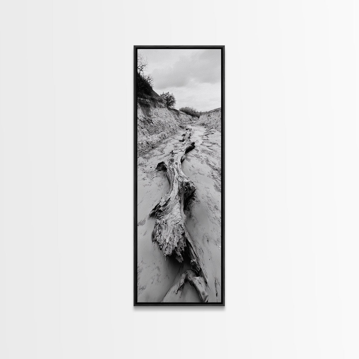 Driftwood, Nature Path, Earthy Decor, Rustic Home Style, Framed Canvas Print, Living Room Wall Art, Natural Landscape Photography