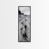 Driftwood, Nature Path, Earthy Decor, Rustic Home Style, Framed Canvas Print, Living Room Wall Art, Natural Landscape Photography