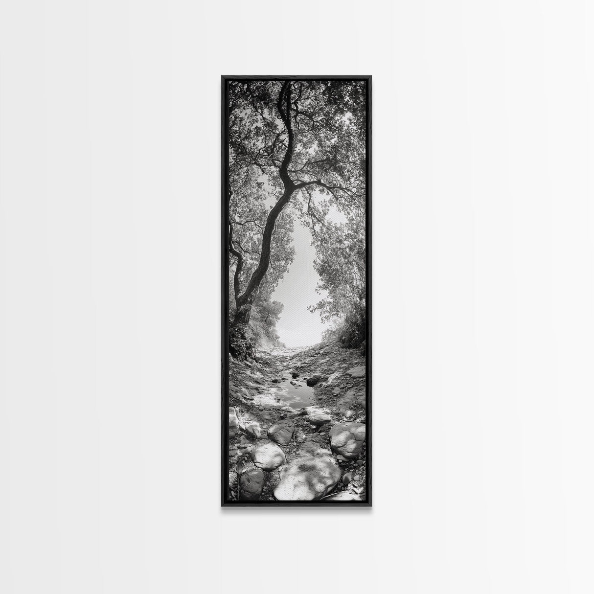 Forest Path, Rock Creek, Canopy Light, Calm Nature Scene, Canvas Print, Entryway Wall Art, Tranquil Minimalist Landscape Print