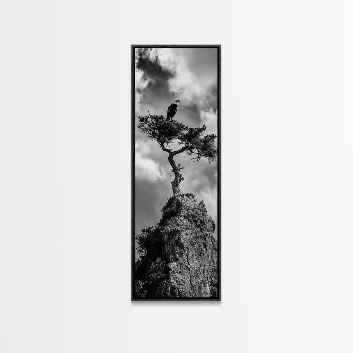 Eagle Tree, Cliff Perch, Bold Wildlife, Adventure Decor, Framed Canvas Print, Rustic Cabin Wall Art, American Symbolic Art