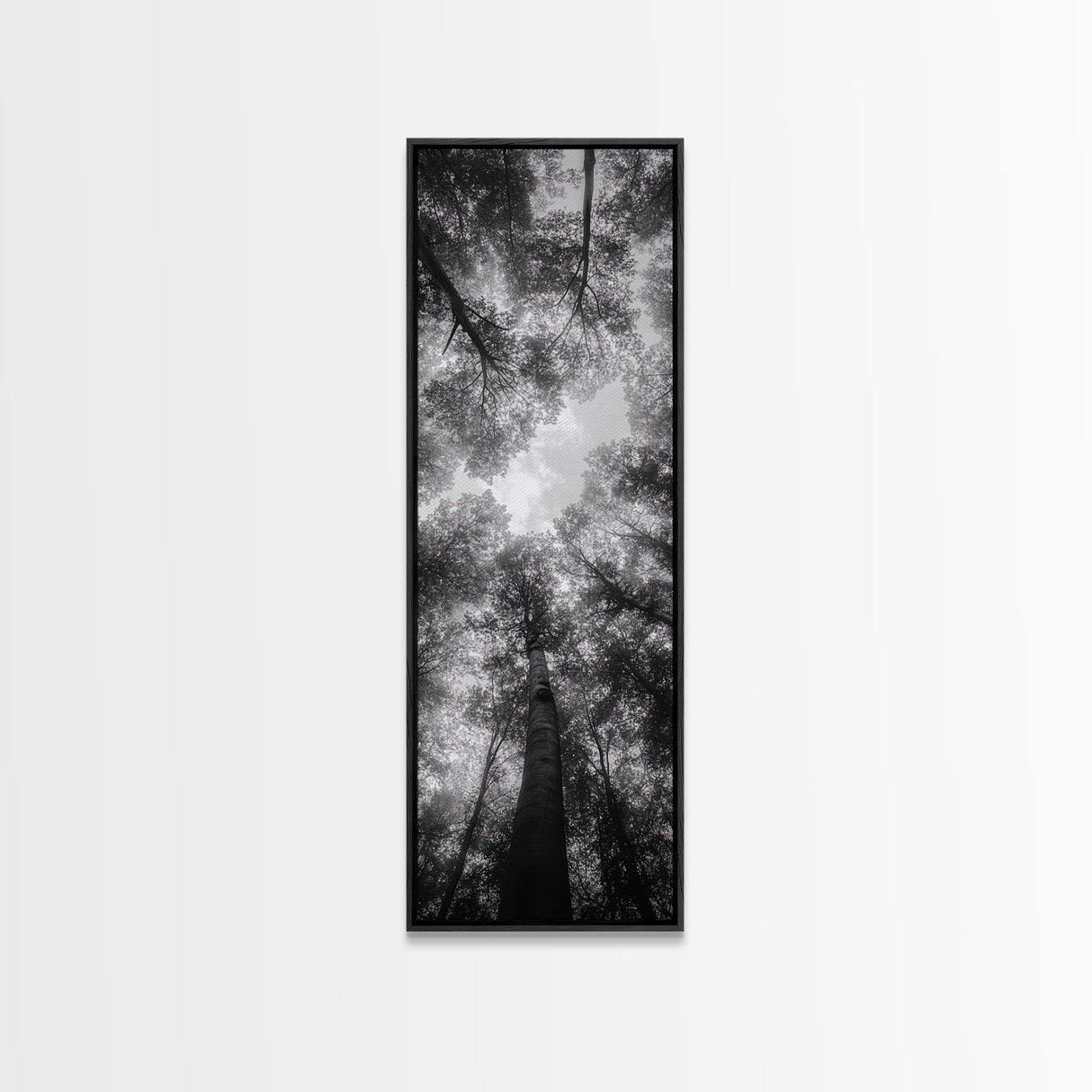Forest Canopy, Nature Perspective, Tranquil Trees, Black and White, Framed Canvas Print, Cabin Wall Art, Scandinavian Decor, Minimalist Style