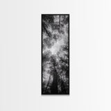 Forest Canopy, Nature Perspective, Tranquil Trees, Black and White, Framed Canvas Print, Cabin Wall Art, Scandinavian Decor, Minimalist Style