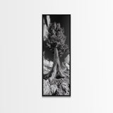 Majestic Tree, Nature Power, Earth Energy, Black White Art, Framed Canvas Print, Modern Rustic Decor, Cabin Wall Art, Tree Lover Gift