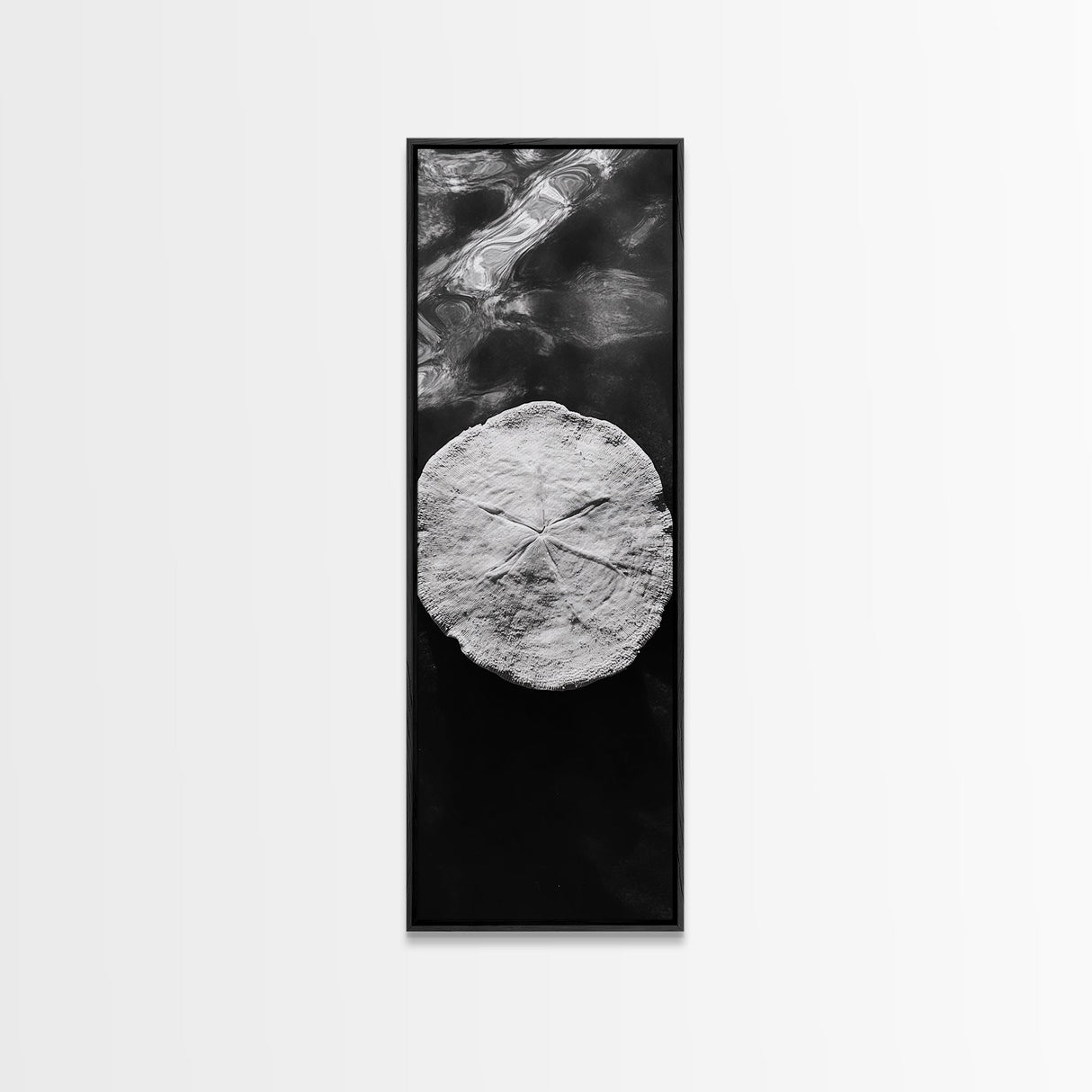 Sand Dollar Print, Minimalist Beach Decor, Sea Shell Wall Art, Coastal Bathroom or Nursery Style, Framed Canvas Print, Ocean Texture