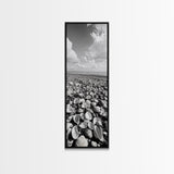 Shell Beach, Coastal Texture, Seashell Ground, Nature’s Bounty, Rustic Ocean Canvas Print, Neutral Kitchen Wall Art, Boho Coastal Style