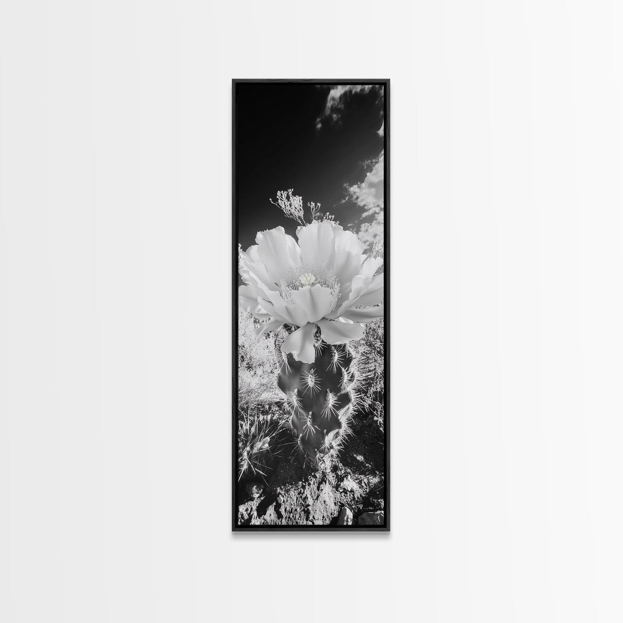 Desert Bloom Cactus, Southwest Art, Nature Floral Print, Cactus Photography, Framed Canvas Print, Kitchen Wall Art, Boho Wall Decor