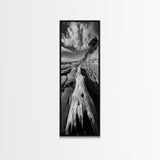 Driftwood Beach, Ocean Texture, Nature Scene, Canvas Print, Rustic Beach Decor, Coastal Wall Art, Bathroom Art, Moody Seaside Print