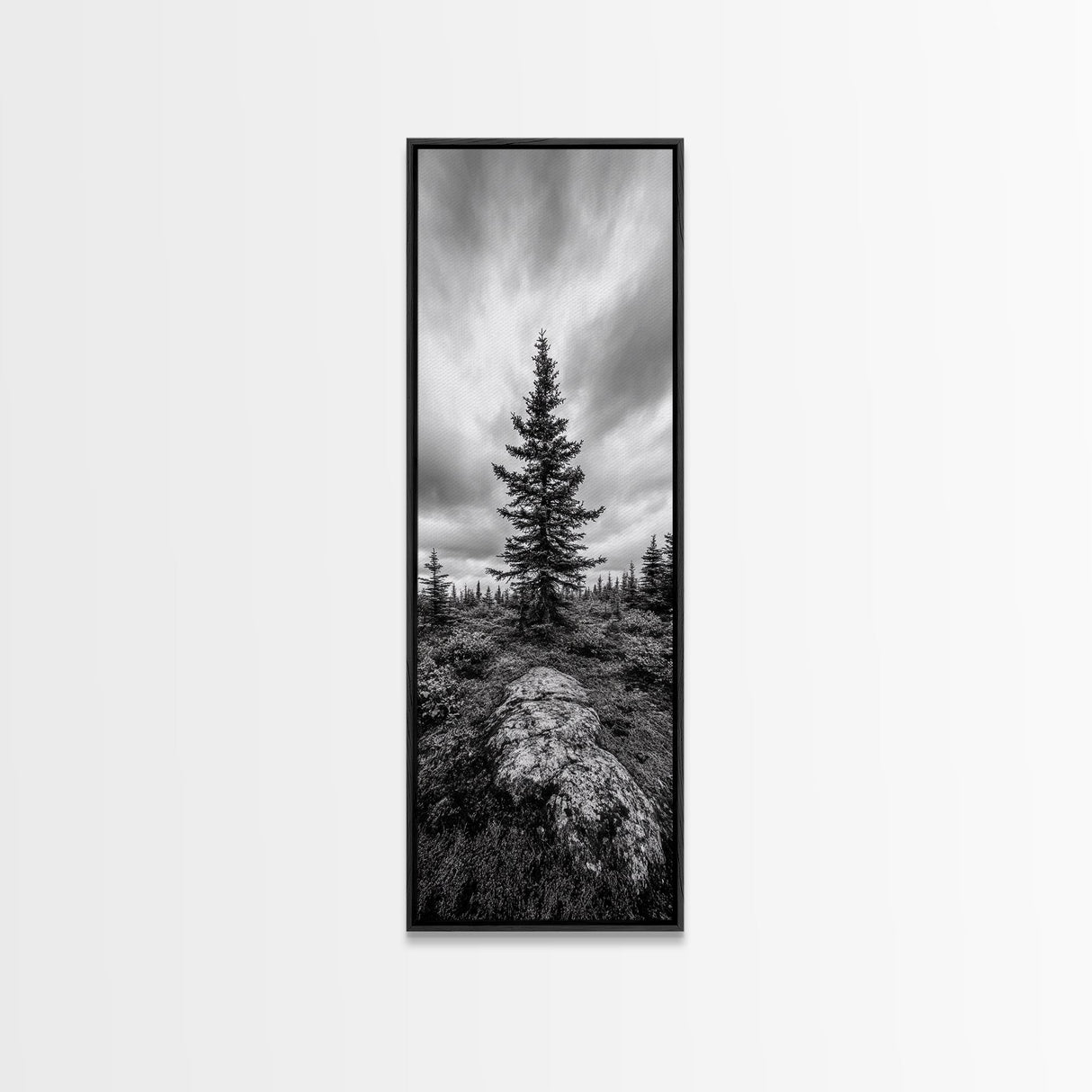 Lone Pine Tree, Forest Mood, Wilderness Art, Framed Canvas Print, Minimalist Wall Decor, Cabin Art, Neutral Fall Tones, Nature Lover Gift